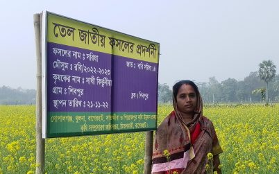 চিতলমারীতে সরিষা কৃষকের মুখে হাসি