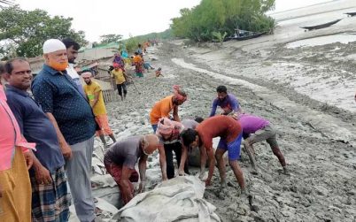 বেতবুনিয়ায় নির্মাণ করা হচ্ছে আবাসন রক্ষা বাঁধ; আড়াই’শ পরিবারের মাঝে স্বস্তি