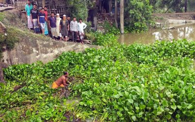 অপসারণ করা হচ্ছে পাইকগাছার ঘোষখালী নদীর কচুরীপানা