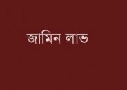 ঢাকায় গ্রেফতার হওয়া খুলনা বিএনপির ১২ নেতাকর্মীর জামিন