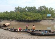 নিষিদ্ধ সময়ে সুন্দরবনে চলছে দেদারসে মাছ শিকার