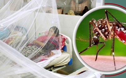 দেশে ডেঙ্গুতে আরও ১২ জনের মৃত্যু
