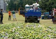 দেবহাটায় ১৩ দিনে ১৫ মেট্রিক টন কেমিকেল মিশ্রিত আম জব্দ করে বিনষ্ট