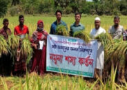 ডুমুরিয়ায় বোরো আবাদে কৃষকের মুখে হাসির ঝিলিক
