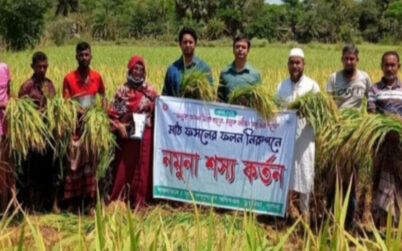 ডুমুরিয়ায় বোরো আবাদে কৃষকের মুখে হাসির ঝিলিক
