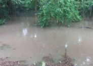 ডুমুরিয়ায় পানি নিষ্কাশনের খাল জবরদখল