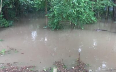 ডুমুরিয়ায় পানি নিষ্কাশনের খাল জবরদখল