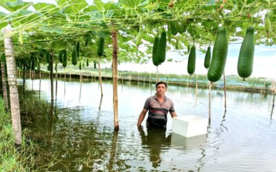 রামপালে ঘেরের আইলে সবজি চাষে কৃষকের ভাগ্য বদল