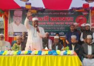 দেশবিরোধী চক্র নানামুখী ষড়যন্ত্রে লিপ্ত-আবুল কালাম আজাদ