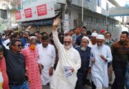 জনগনের প্রত্যাশা পুরণে বিএনপি বদ্ধ পরিকর : মঞ্জু