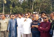 আধুনিক ডুমুরিয়া-ফুলতলা গড়তে ধানের শীষে ভোট দিন-আলি আসগার লবি