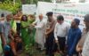 সরকারের পাশাপাশি খুলনায় ওয়ার্ল্ড ভিশন বাংলাদেশ এর আয়োজনে বৃক্ষরোপণ কর্মসূচির উদ্বোধন