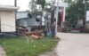 ডুমুরিয়া হাসপাতালের প্রধান ফটকে অবৈধ স্থাপনা, রোগী যাতায়াতে বিঘ্ন