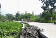 পাইকগাছায় নির্মাণ শেষ হওয়ার  আগেই সড়কে ফাটল